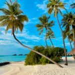 Photo by Mike Swigunski